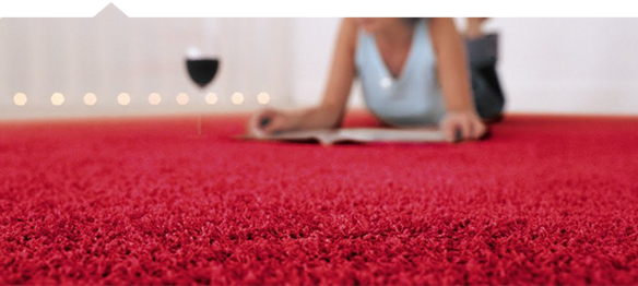 Carpet Cleaning & Repair